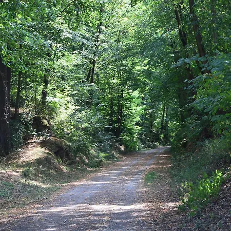Am Waldweg